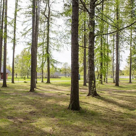 Apartment Linnunlahti Joensuu